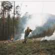 Lenka Vlkov-Wolfice.