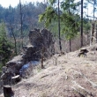 Hrad Ko�l�